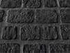 Coal